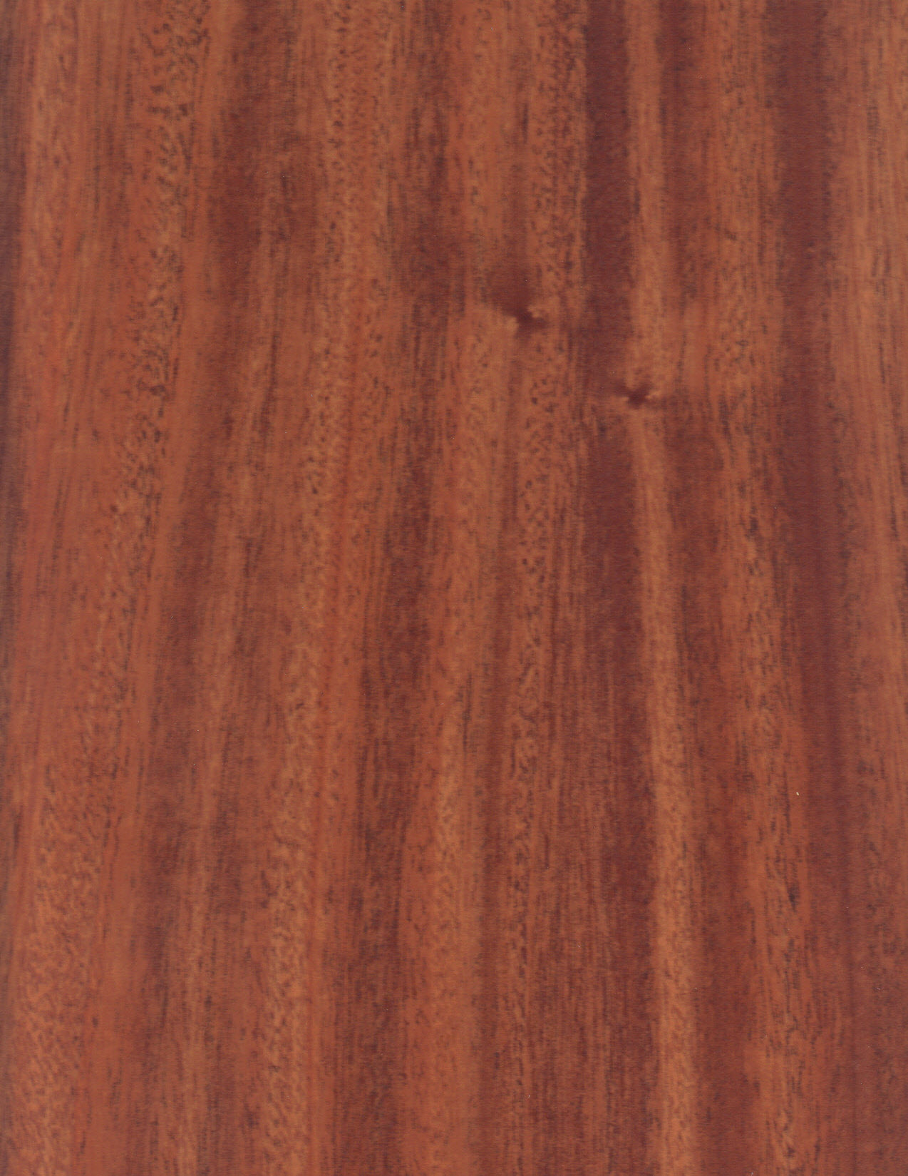 Woodworking wood african mahogany Main Image